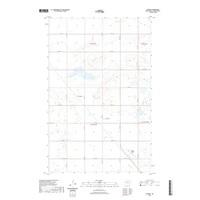 2020 Map of Leverich, 2020 Print