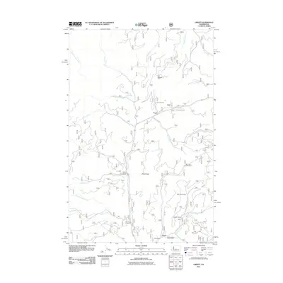 2011 Map of Liberty, 2011 Print
