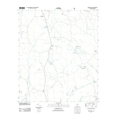 2011 Map of Libertyville, 2011 Print