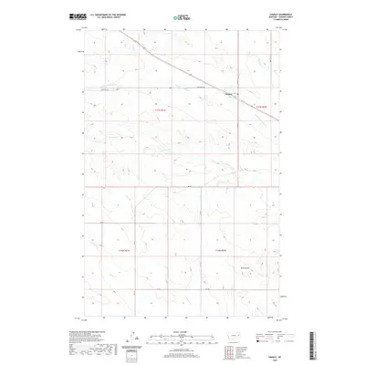 2020 Map of Lindsay, 2020 Print