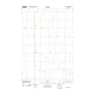 2010 Map of Little Chicago, 2010 Print