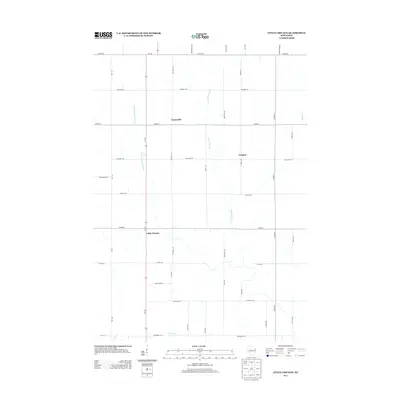 2013 Map of Little Chicago, 2013 Print