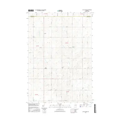2015 Map of Little Chicago, 2015 Print