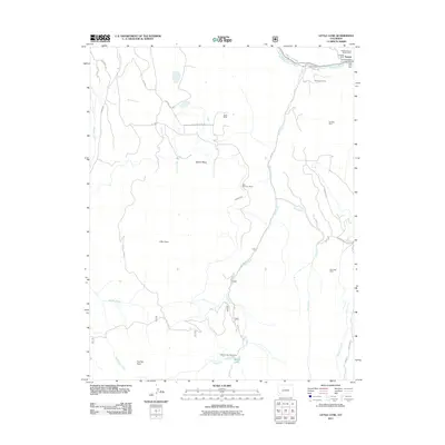 2011 Map of Little Cone, 2011 Print