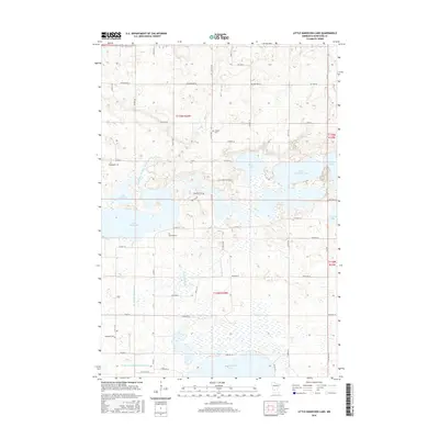 2016 Map of Little Kandiyohi Lake, 2016 Print