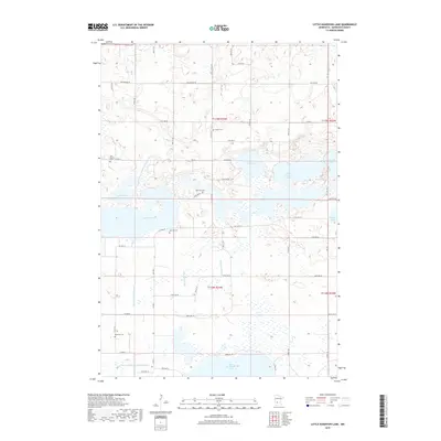2019 Map of Little Kandiyohi Lake, 2019 Print