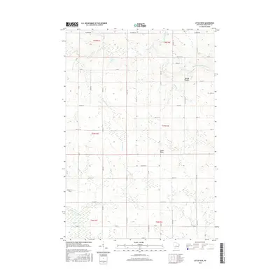 2015 Map of Little Rose, 2015 Print