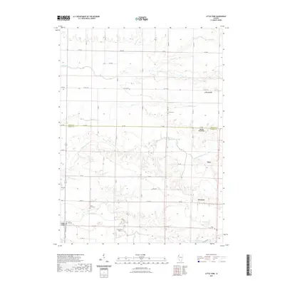 2021 Map of Little York, 2021 Print