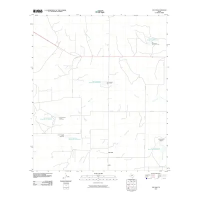 2010 Map of Live Oak, 2010 Print