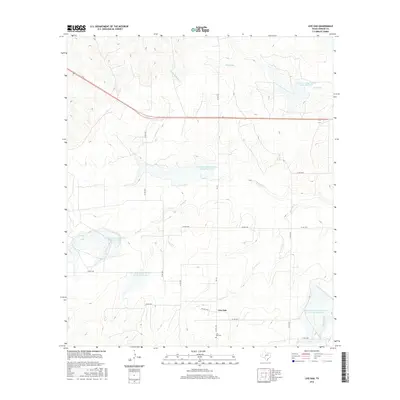 2016 Map of Live Oak, 2016 Print