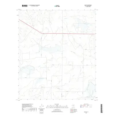2019 Map of Live Oak, 2019 Print
