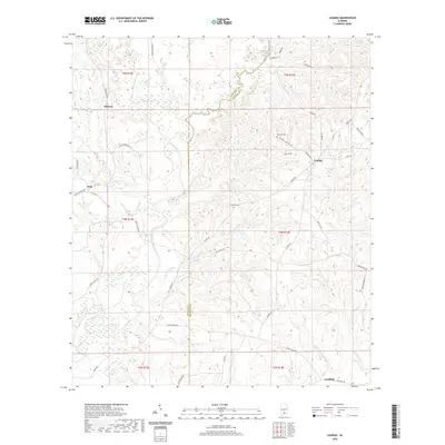 2020 Map of Loango, 2020 Print
