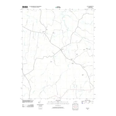 2010 Map of Lola, 2010 Print