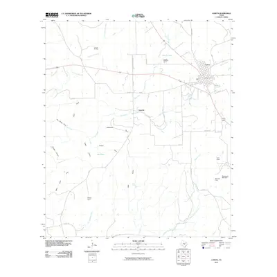 2010 Map of Lometa, 2010 Print
