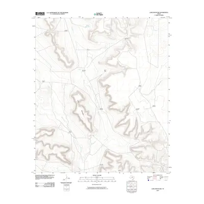 2010 Map of Lone Mountain, 2010 Print