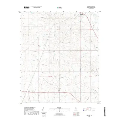 2018 Map of Lone Star, 2018 Print