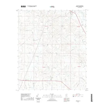 2020 Map of Lone Star, 2020 Print