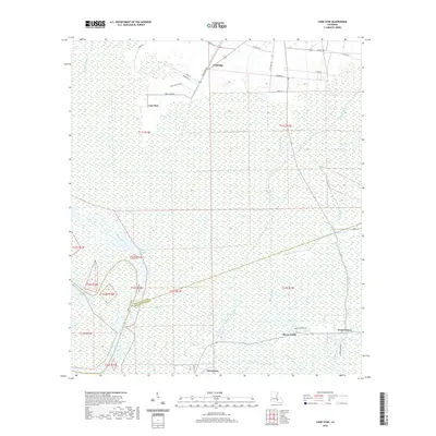 2020 Map of Lone Star, 2020 Print
