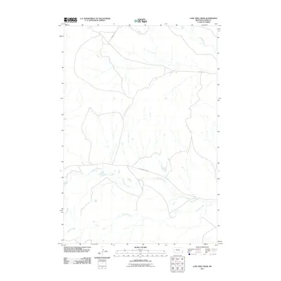 2011 Map of Lone Tree Creek, 2011 Print