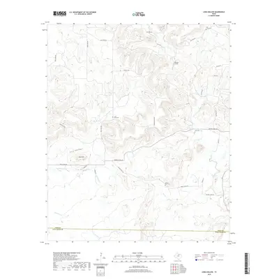 2019 Map of Long Hollow, 2019 Print