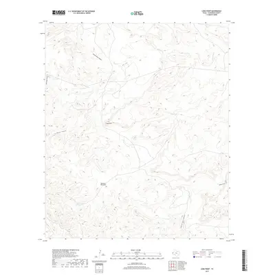 2019 Map of Long Point, 2019 Print