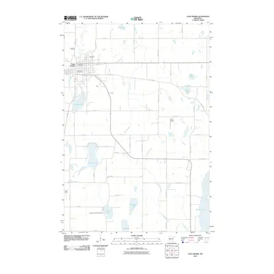 2010 Map of Long Prairie, 2010 Print