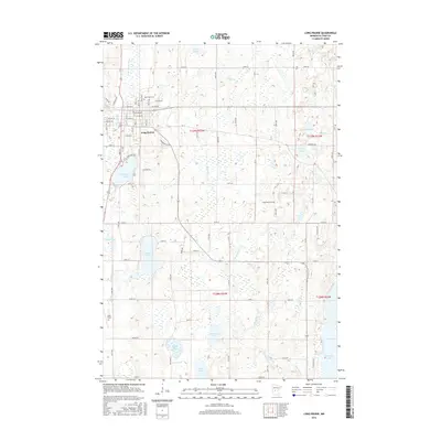 2016 Map of Long Prairie, 2016 Print