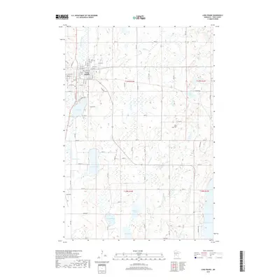 2019 Map of Long Prairie, 2019 Print