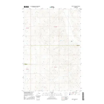 2017 Map of Loony Hollow, 2017 Print