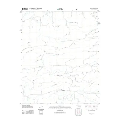 2013 Map of Loving, 2013 Print