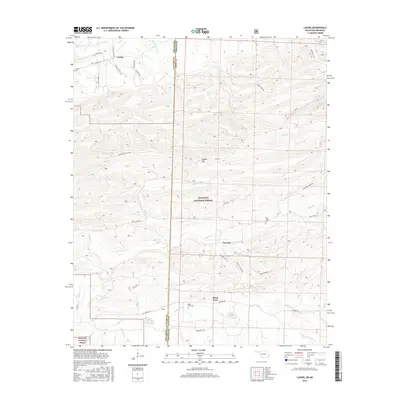 2016 Map of Loving, 2016 Print