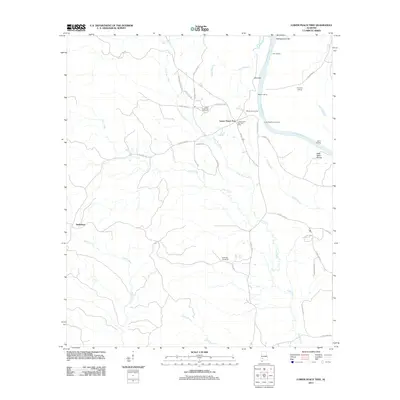 2011 Map of Lower Peach Tree, 2011 Print