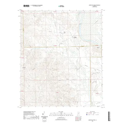 2020 Map of Lower Peach Tree, 2020 Print