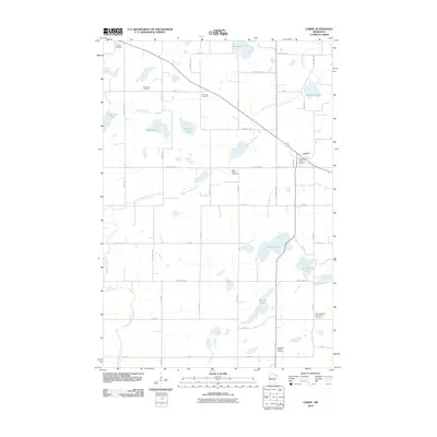 2010 Map of Lowry, 2010 Print