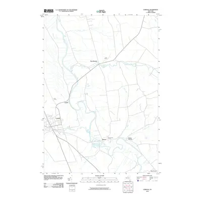 2010 Map of Lowville, 2010 Print