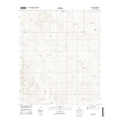 2013 Map of Lucky Lake, 2013 Print