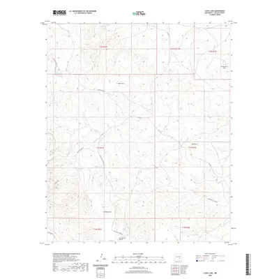 2020 Map of Lucky Lake, 2020 Print