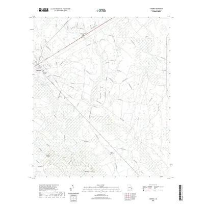 2020 Map of Ludowici, 2020 Print