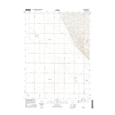2015 Map of Luton, 2015 Print