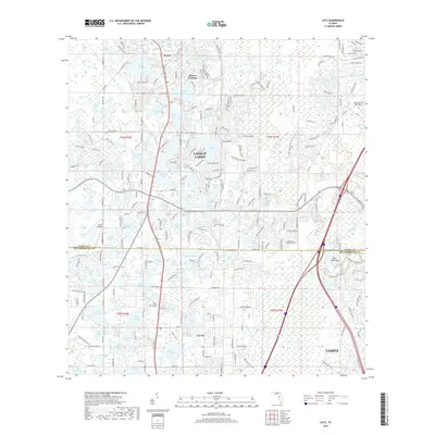 2018 Map of Lutz, 2018 Print