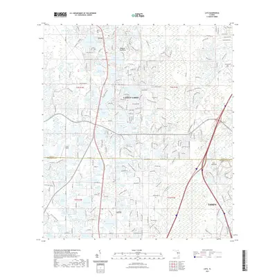 2021 Map of Lutz, 2021 Print
