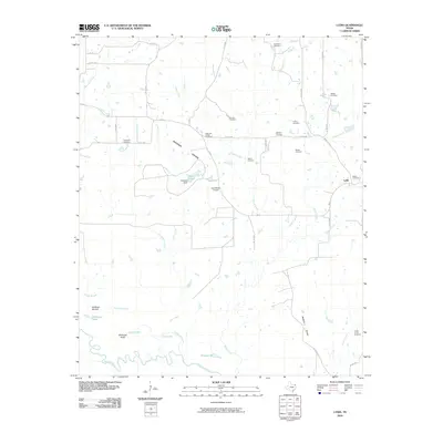 2010 Map of Lydia, 2010 Print