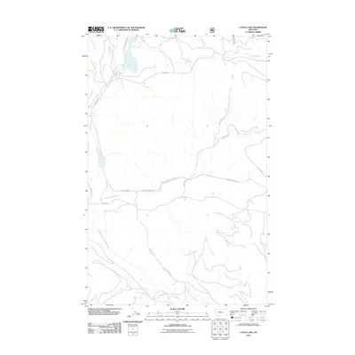 2011 Map of Lynch Lake, 2011 Print