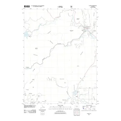2011 Map of Lyons, 2011 Print