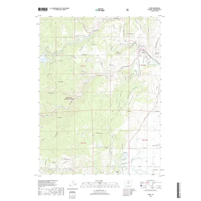 2019 Map of Lyons, 2019 Print
