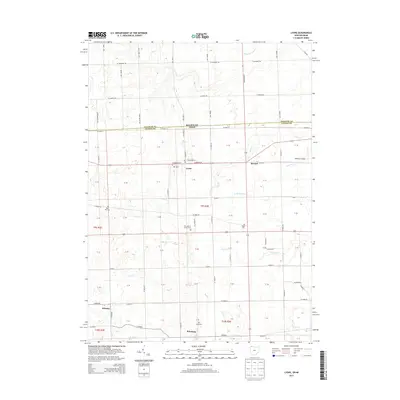 2013 Map of Lyons, 2013 Print