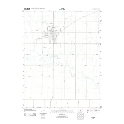 2012 Map of Lyons, 2012 Print