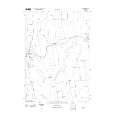 2013 Map of Lyons, 2013 Print