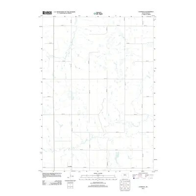 2012 Map of Lyonville, 2012 Print