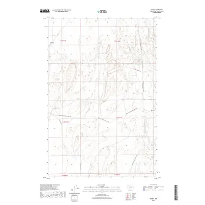 2020 Map of Macall, 2020 Print
